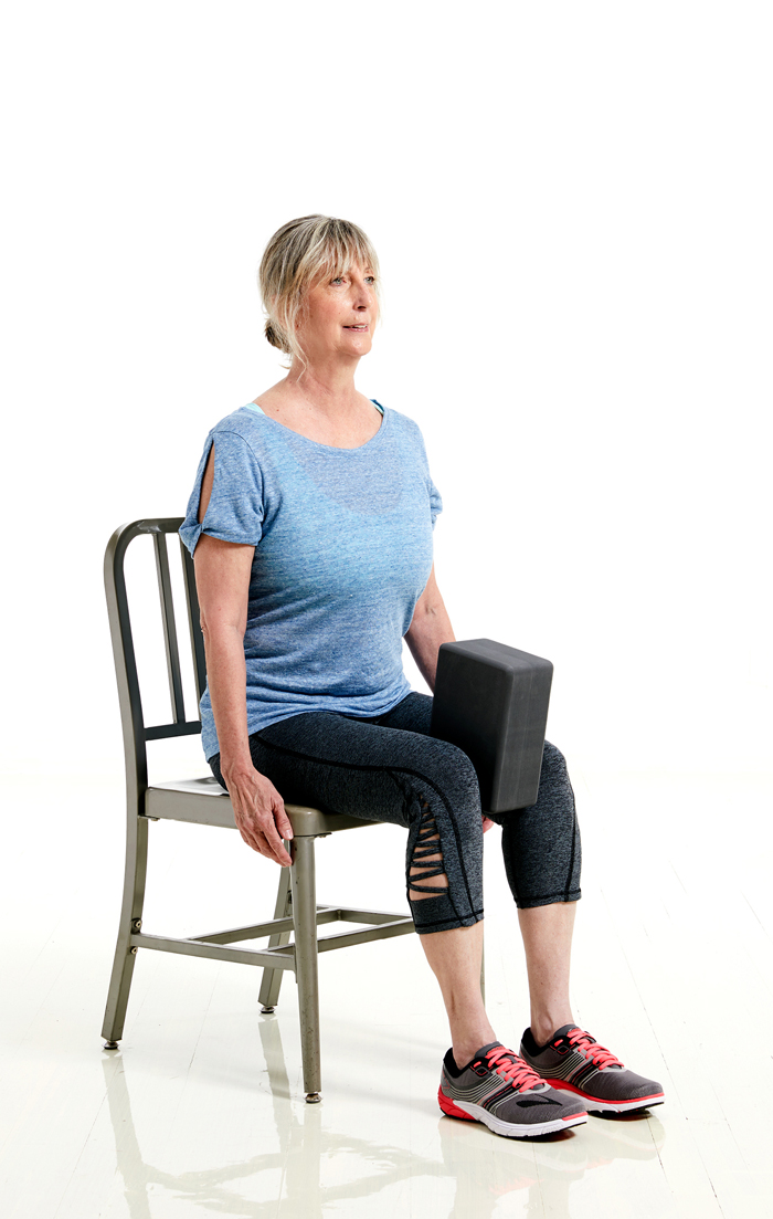 SilverSneakers Seated Adduction