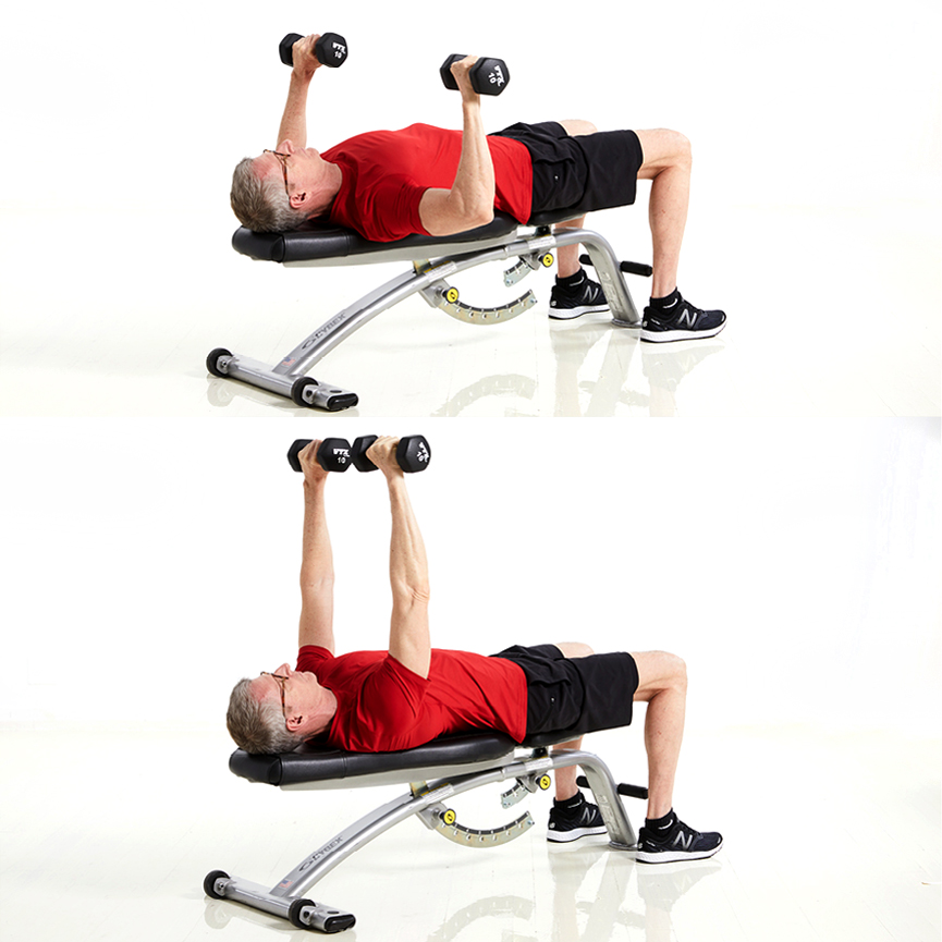 Chest Press Exercise